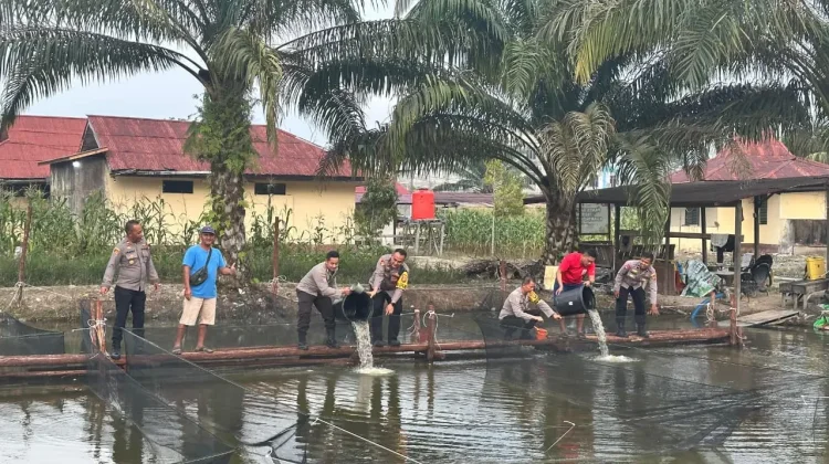 Kapolres Melawi Tabur 3.000 Benih Ikan di Polsek Nanga Pinoh